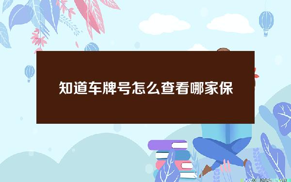 知道车牌号怎么查看哪家保险公司的，知道车牌号怎么查看哪家保险公司的车