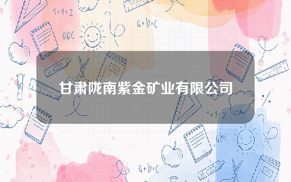 甘肃陇南紫金矿业有限公司(甘肃陇南紫金集团董事长)