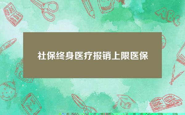 社保终身医疗报销上限(医保终身报销是什么意思)