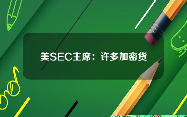 美SEC主席：许多加密货币根据法律都是证券