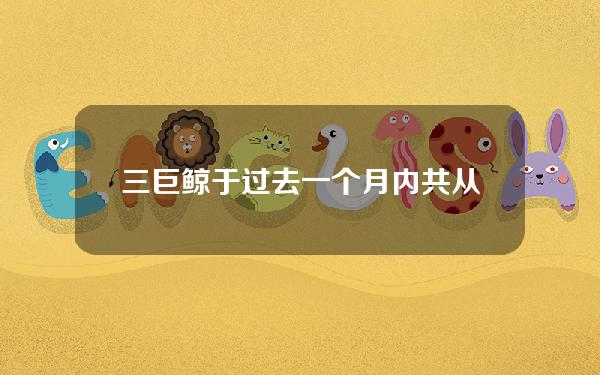 三巨鲸于过去一个月内共从交易平台转出944万枚ONDO，价值超850万美元