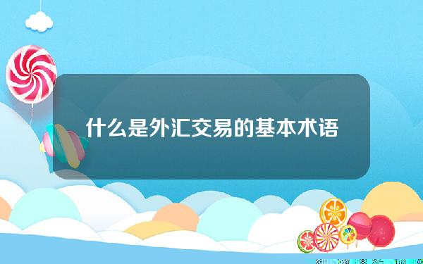 什么是外汇交易的基本术语？这种术语如何帮助投资者理解市场？