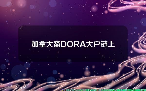 加拿大裔DORA大户链上钱包地址遭到黑客