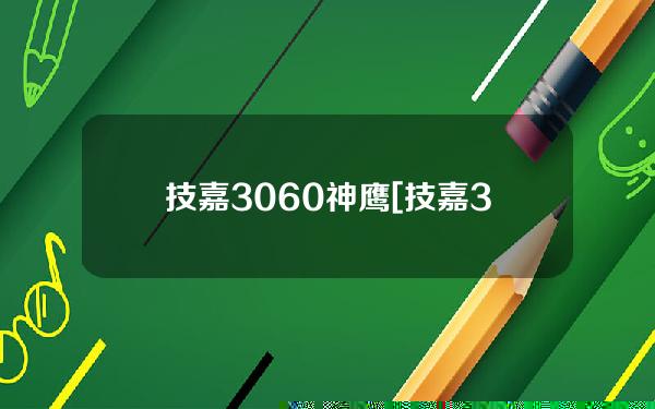 技嘉3060神鹰[技嘉3060神鹰12g]