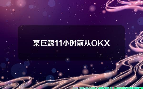 某巨鲸11小时前从OKX提出2410枚M