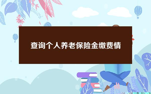 查询个人养老保险金缴费情况(如何查询养老保险个人缴费明细)