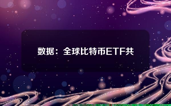 数据：全球比特币ETF共持有约105万枚BTC，价值约641亿美元