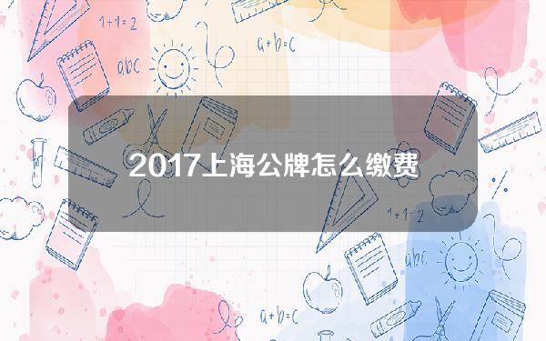 2017上海公牌怎么缴费(上海公牌怎么卖)