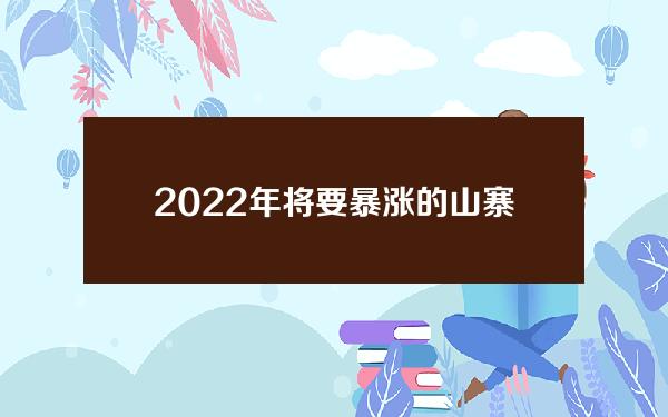 2022年将要暴涨的山寨币