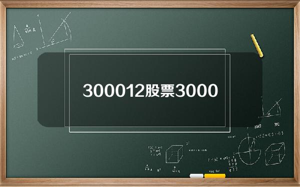 300012股票(30002股价)