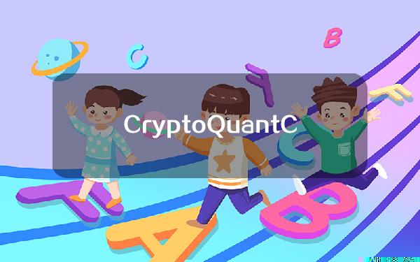 CryptoQuantCEO：巨鲸正增持BTC，近1个月35.8万枚BTC转至长期持有者地址