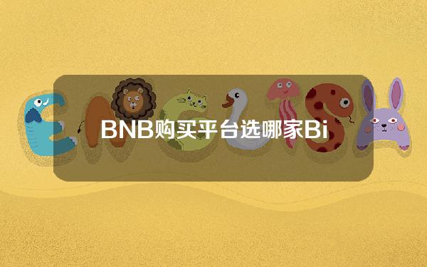   BNB购买平台选哪家？Bitget如何？