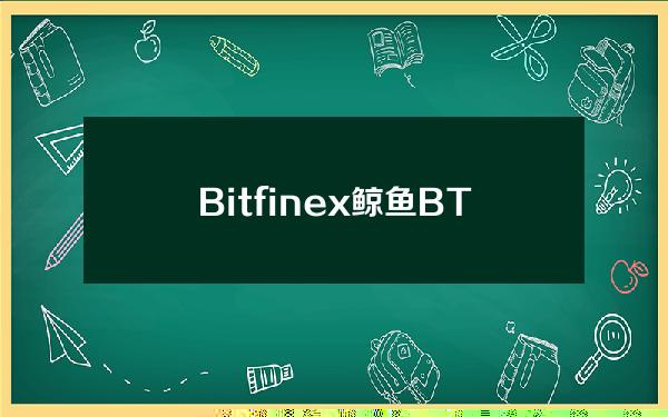 Bitfinex鲸鱼BTC多头头寸近期增长6%，达48615枚BTC