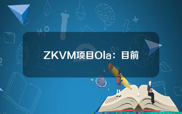 ZKVM项目Ola：目前仅Massivev0.2.1可以运行，请下载最新版本