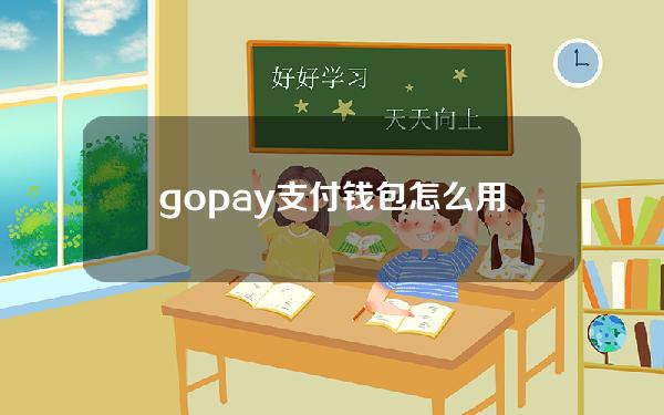 gopay支付钱包怎么用（gopay钱包app）